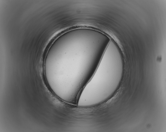 X0000095920984200801110851