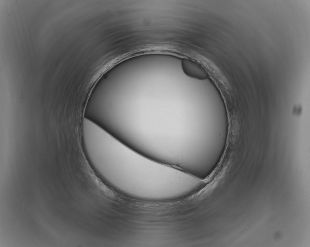 X0000095920985200801110851