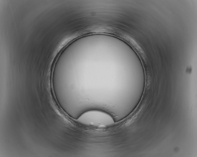 X0000095920986200801110851