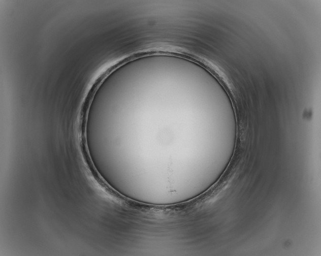X0000095920987200801110851