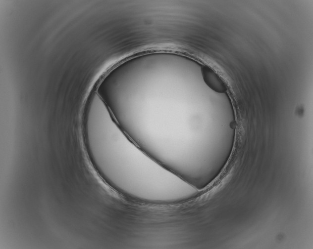 X0000095920989200801110851