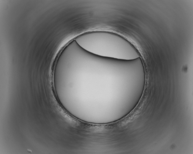 X0000095920990200801110851