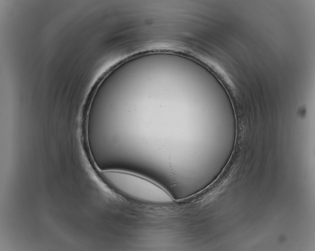 X0000095920991200801110851