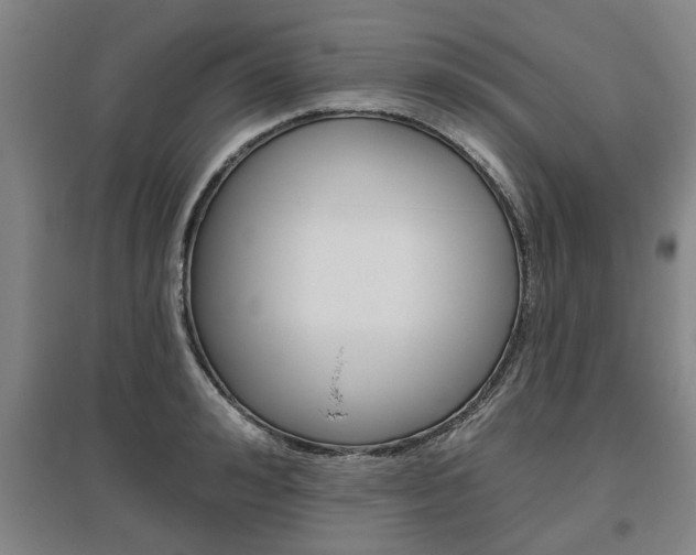 X0000095920992200801110851