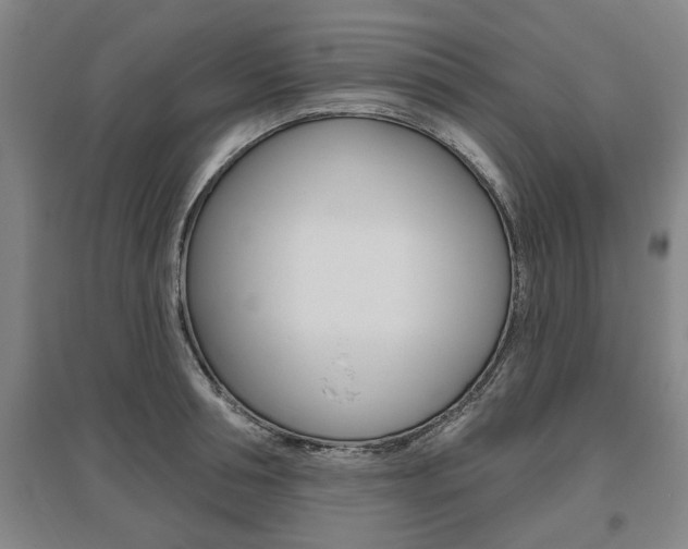 X0000095920994200801110851