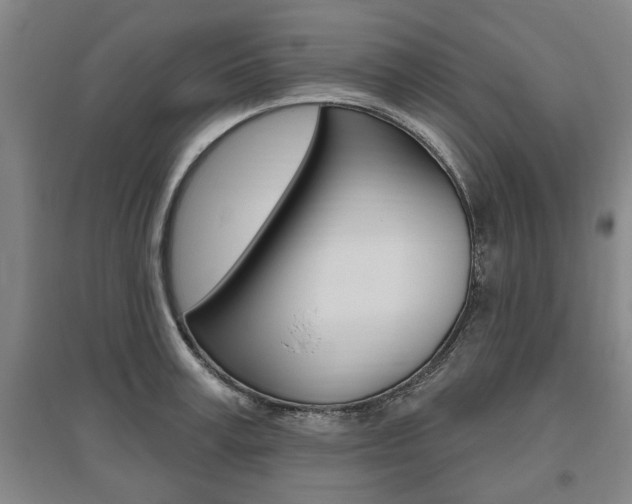 X0000095920995200801110851