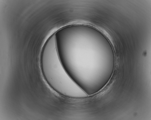 X0000095920997200801110851
