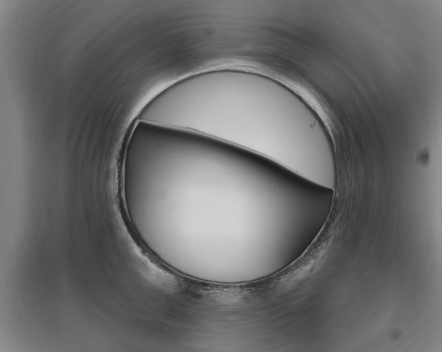 X0000095920999200801110851