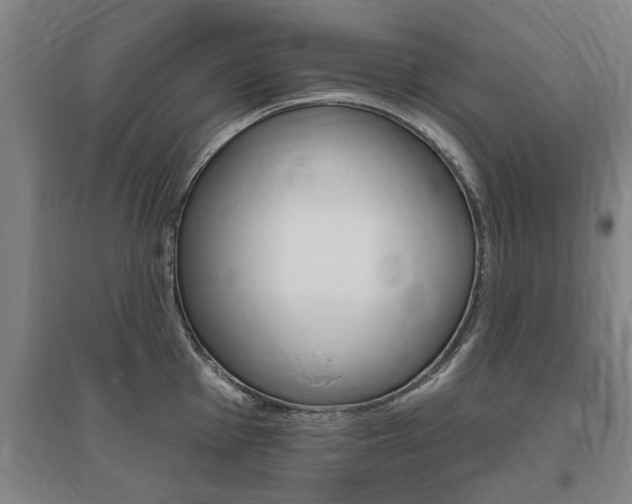X0000095921001200801110851