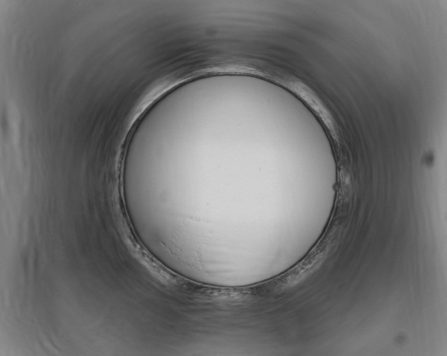 X0000095921002200801110851