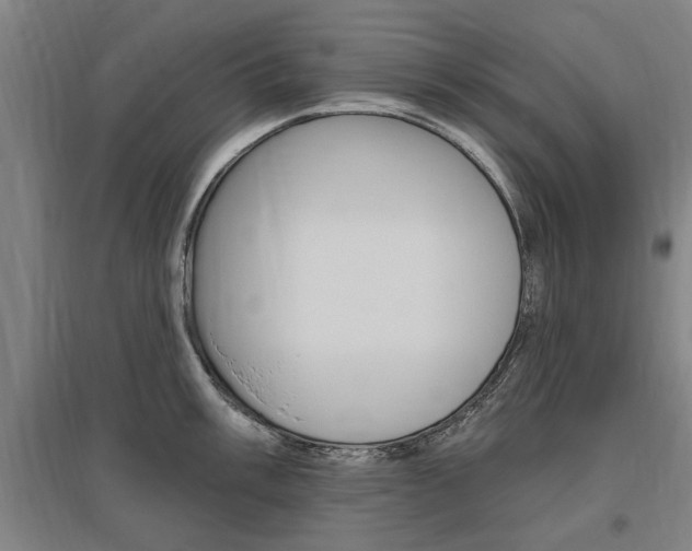 X0000095921003200801110850