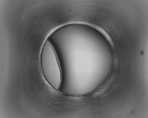 X0000095921004200801110850