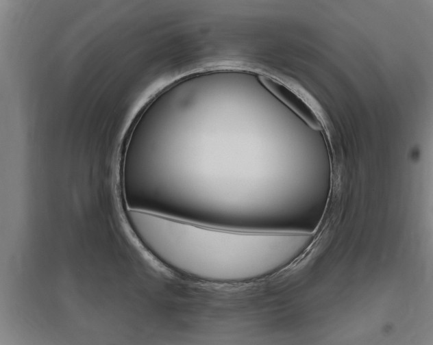 X0000095921005200801110850