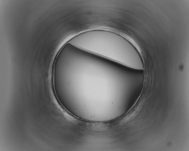 X0000095921007200801110850