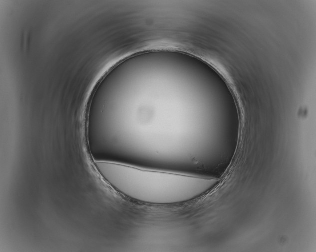 X0000095921008200801110850