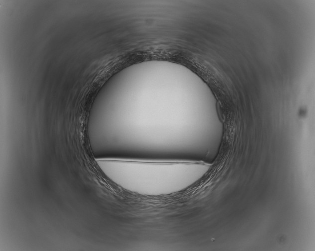 X0000095921010200801110850