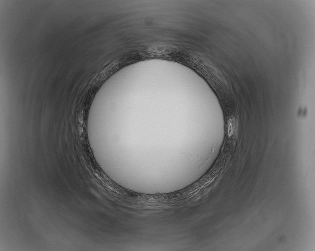 X0000095921011200801110850