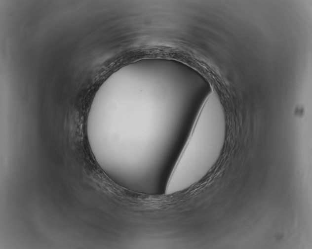 X0000095921013200801110850