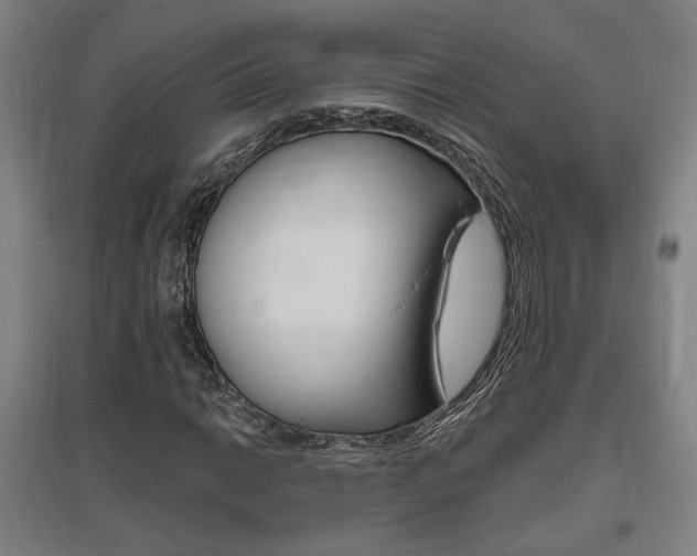 X0000095921014200801110850