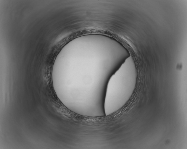 X0000095921015200801110850