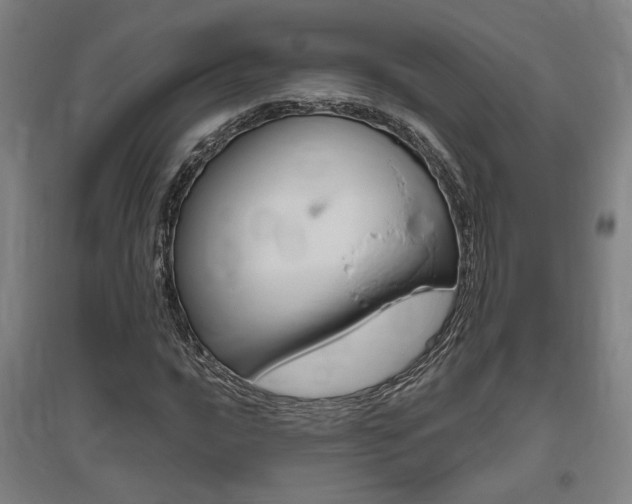 X0000095921016200801110850