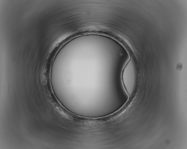 X0000095921018200801110850