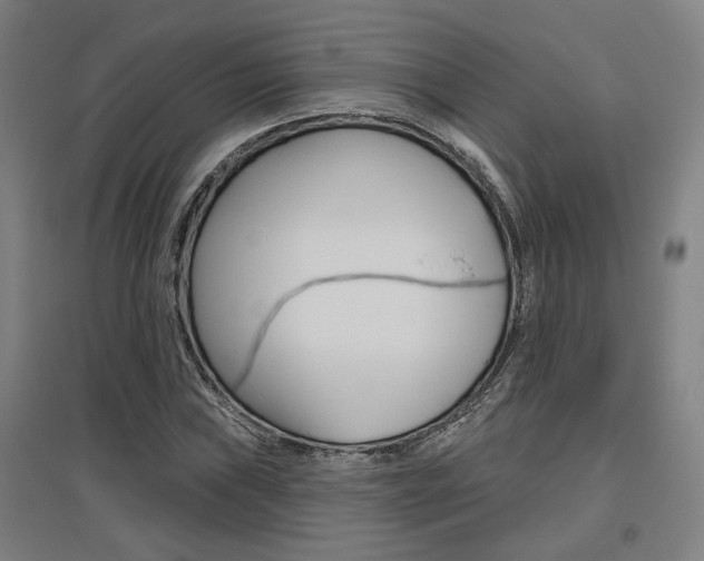 X0000095921019200801110850
