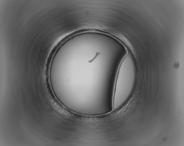 X0000095921020200801110850