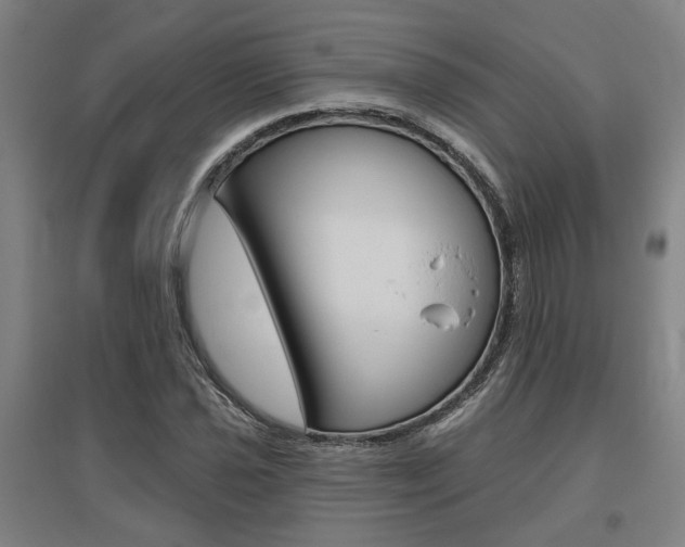 X0000095921021200801110850