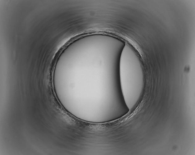 X0000095921023200801110850