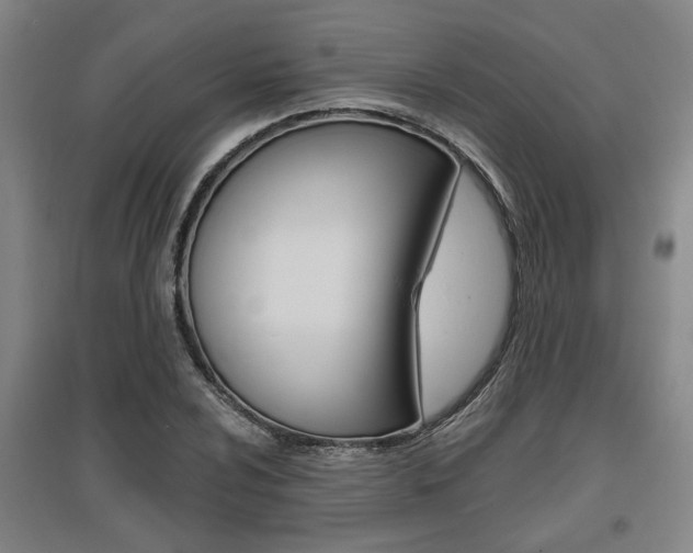 X0000095921024200801110850