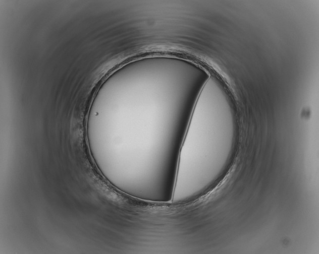 X0000095921025200801110850