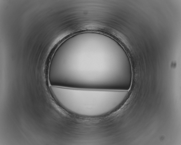 X0000095921026200801110850