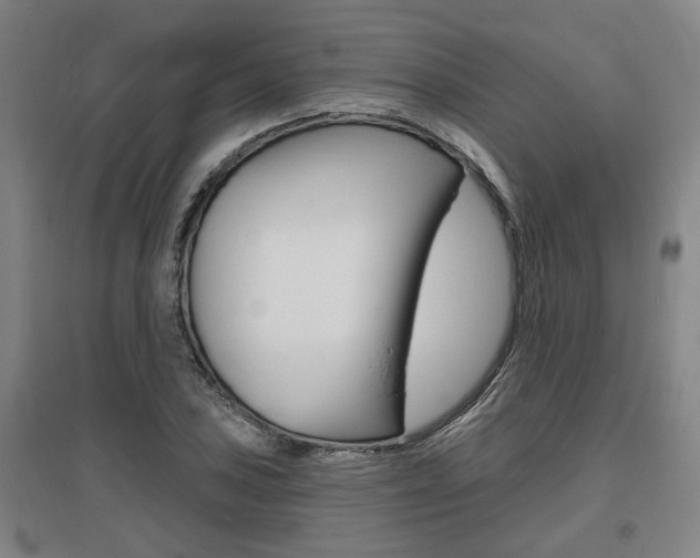 X0000095921027200801110850