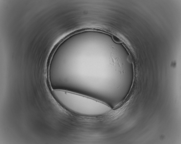 X0000095921028200801110850