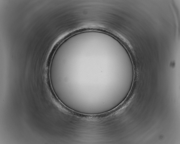 X0000095921029200801110850