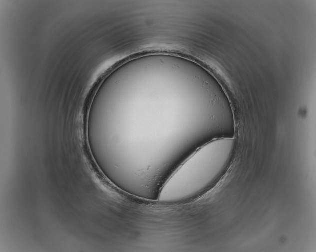 X0000095921030200801110850