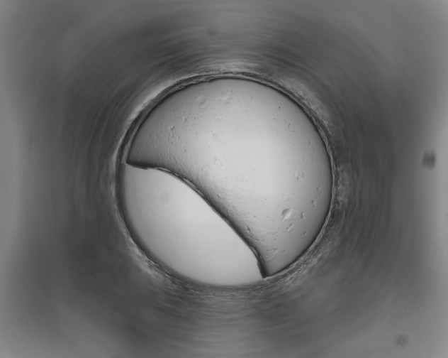 X0000095921031200801110850