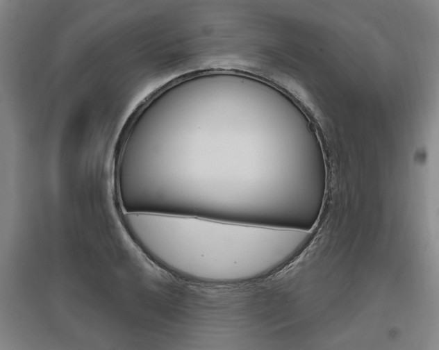 X0000095921032200801110850