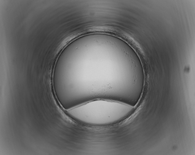 X0000095921033200801110850