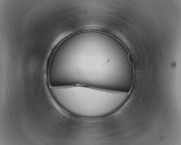 X0000095921034200801110850