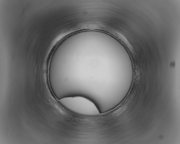 X0000095921035200801110850