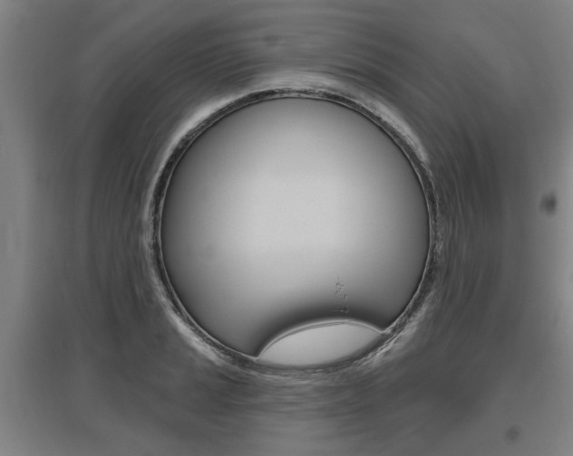 X0000095921037200801110850