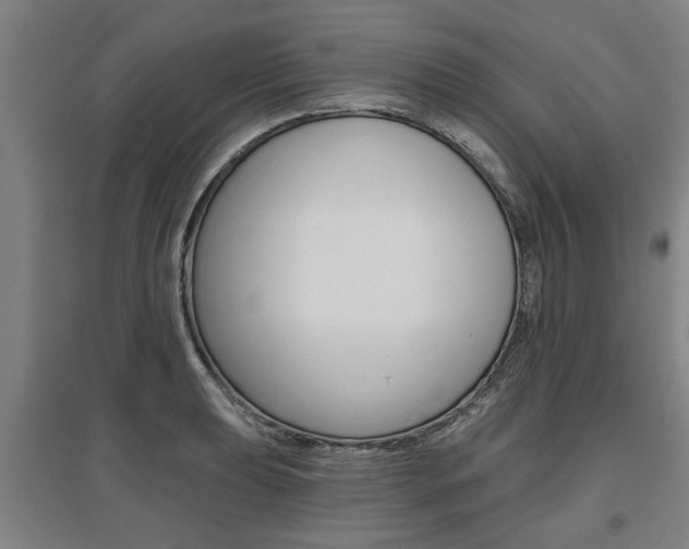 X0000095921039200801110850