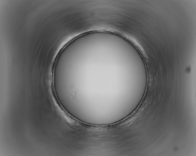 X0000095921040200801110850