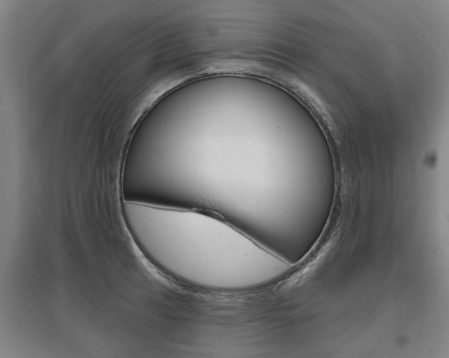 X0000095921041200801110850