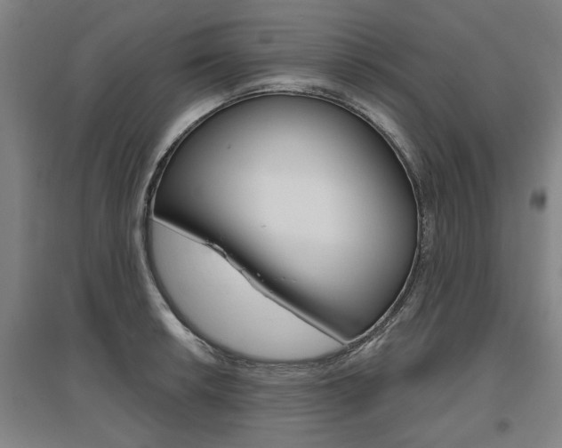 X0000095921042200801110850