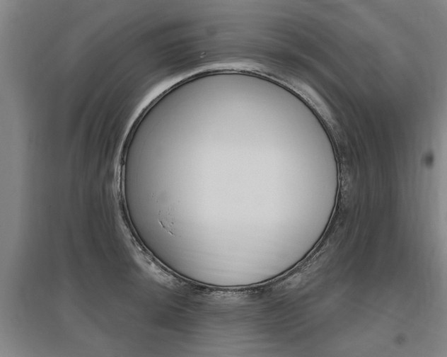 X0000095921044200801110850