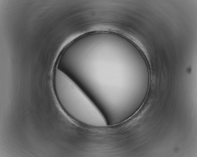 X0000095921045200801110850