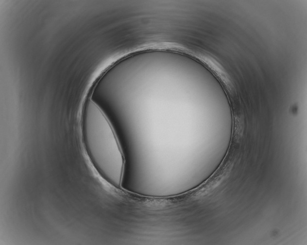 X0000095921046200801110850